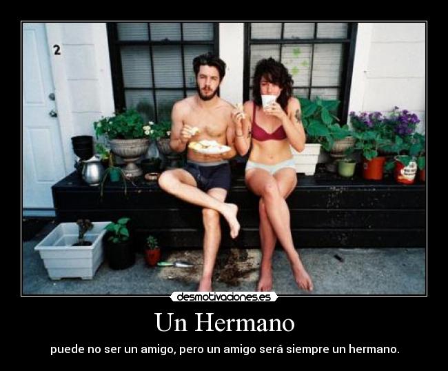 carteles amistad desmotivaciones