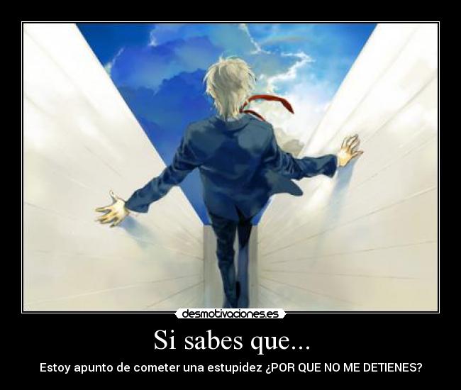 Si sabes que... - Estoy apunto de cometer una estupidez ¿POR QUE NO ME DETIENES?