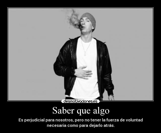 carteles eminem rules intruders fedeminemmola 23tigres putostyle desmotivaciones