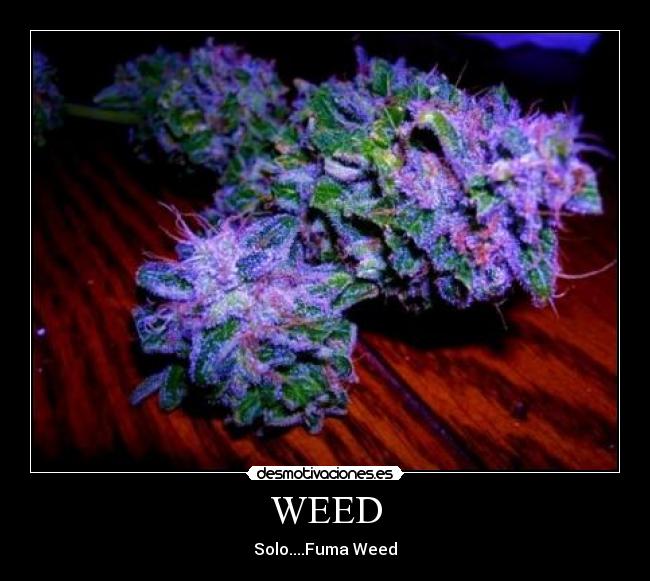 WEED - Solo....Fuma Weed♥