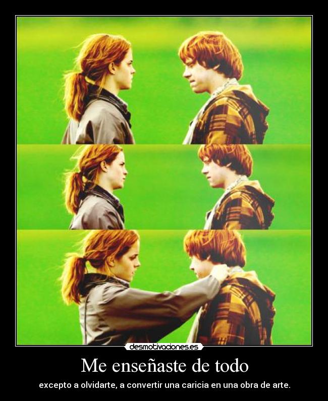 Me enseñaste de todo - 