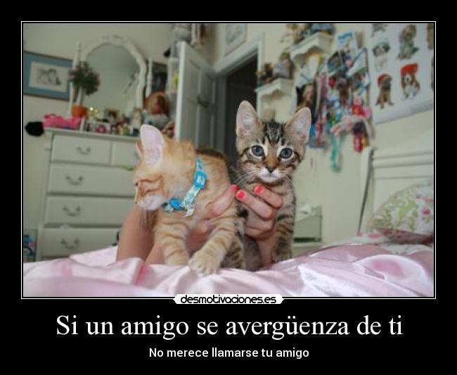 Si un amigo se avergüenza de ti -