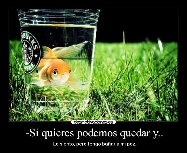 -Si quieres podemos quedar y.. - 