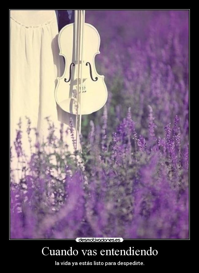 Cuando vas entendiendo -