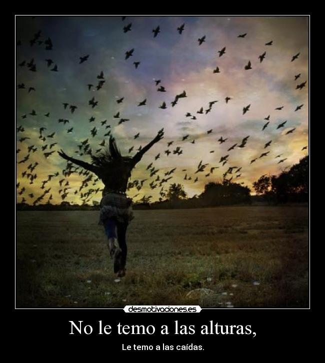 No le temo a las alturas, - Le temo a las caídas.