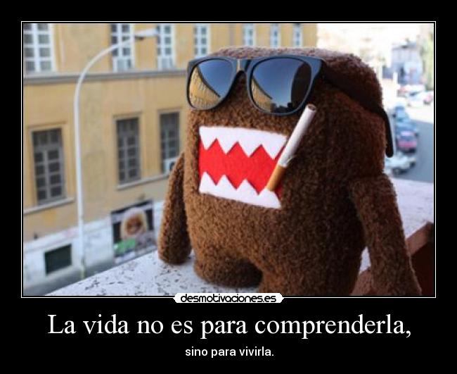 La vida no es para comprenderla, - sino para vivirla.