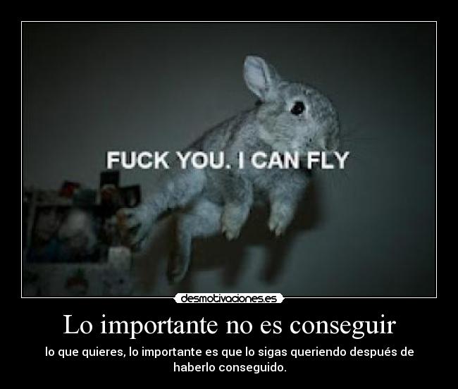 Lo importante no es conseguir - lo que quieres, lo importante es que lo sigas queriendo después de
haberlo conseguido.