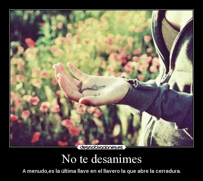 No te desanimes -