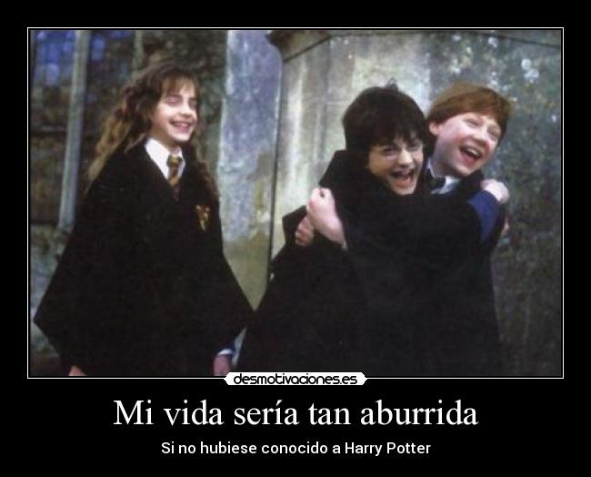 Mi vida sería tan aburrida - Si no hubiese conocido a Harry Potter