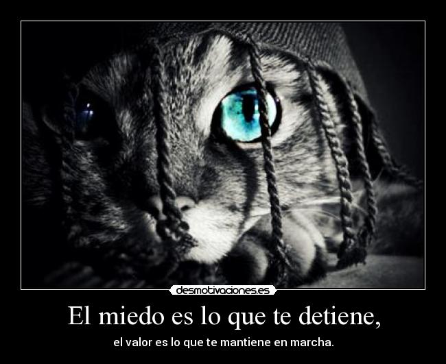 El miedo es lo que te detiene, - 