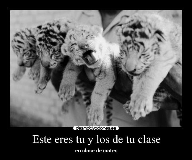 Este eres tu y los de tu clase - en clase de mates