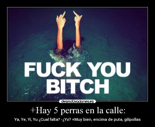 +Hay 5 perras en la calle: - Ya, Ye, Yi, Yu ¿Cual falta? -¿Yo? +Muy bien, encima de puta, gilipollas