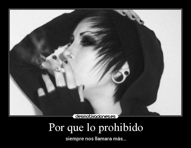 carteles prohibido desmotivaciones