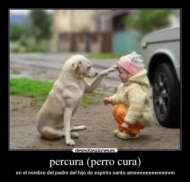 percura (perro cura) - en el nombre del padre del hijo de espirito santo ameeeeeeeennnnnn