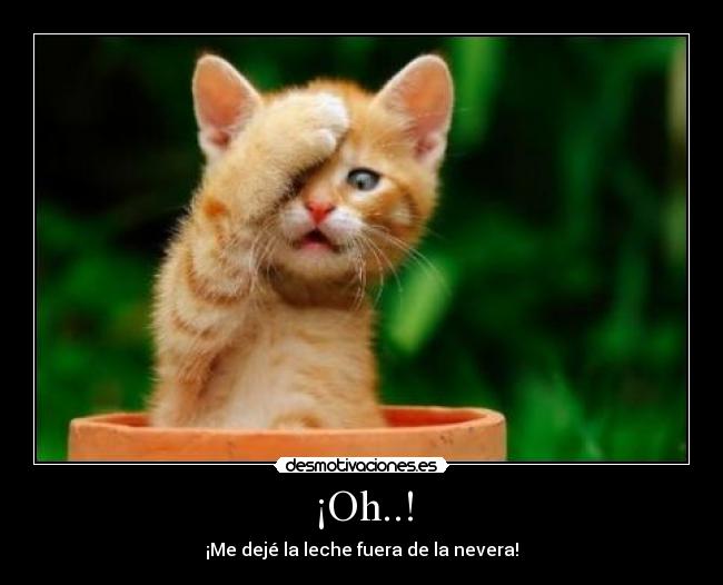 ¡Oh..! - 