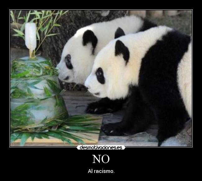 NO - Al racismo.