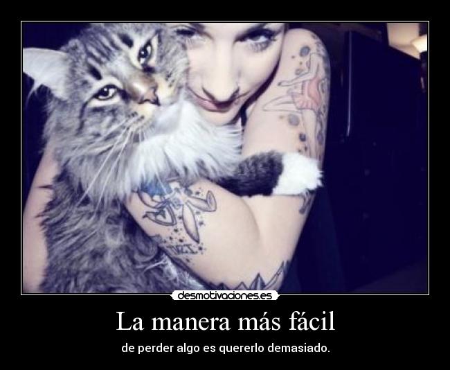 carteles esa mirada sensual del gatosque enamora lalala maldita bola pelo jajajaja desmotivaciones