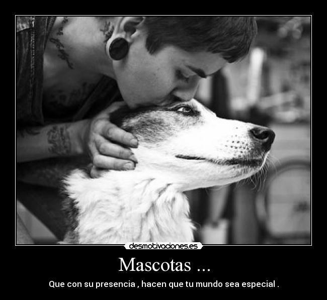 Mascotas ... -