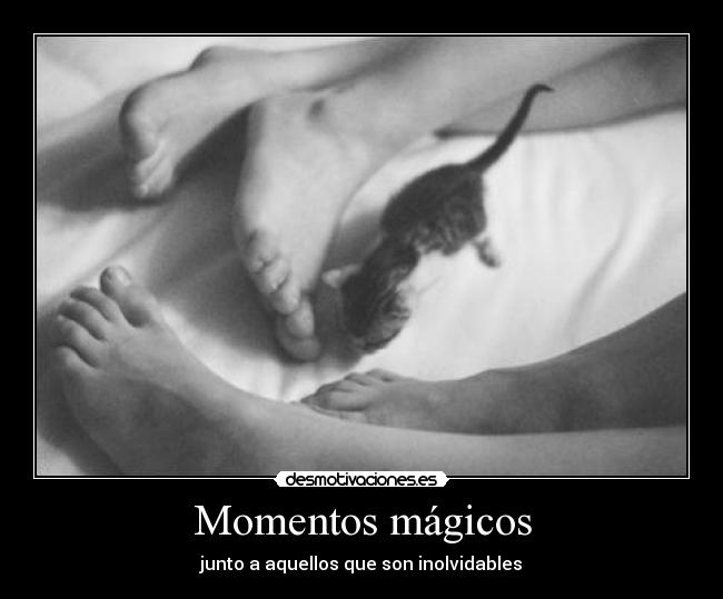 Momentos mágicos - 