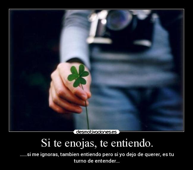 carteles entiendo desmotivaciones