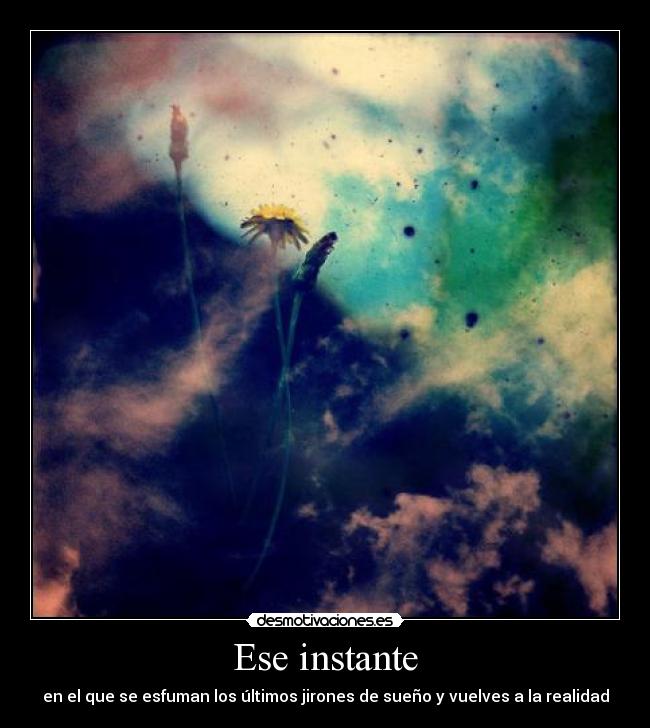 Ese instante - en el que se esfuman los últimos jirones de sueño y vuelves a la realidad