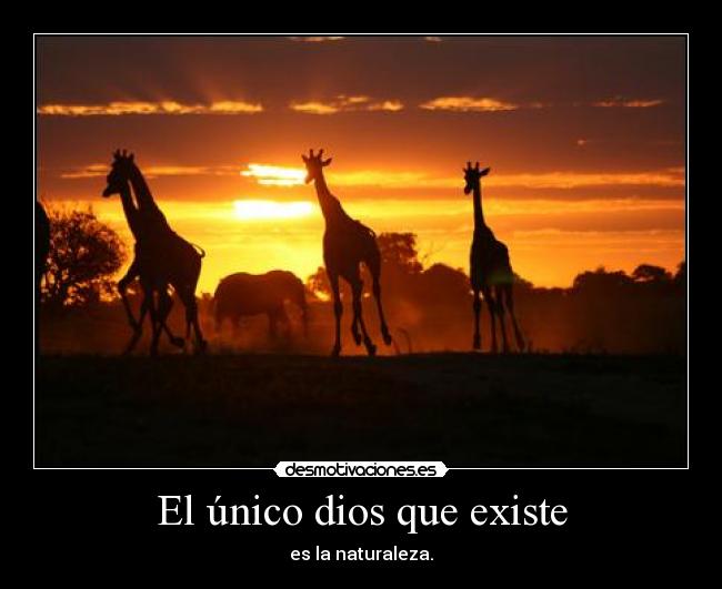 El único dios que existe - 
