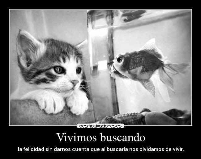 Vivimos buscando -