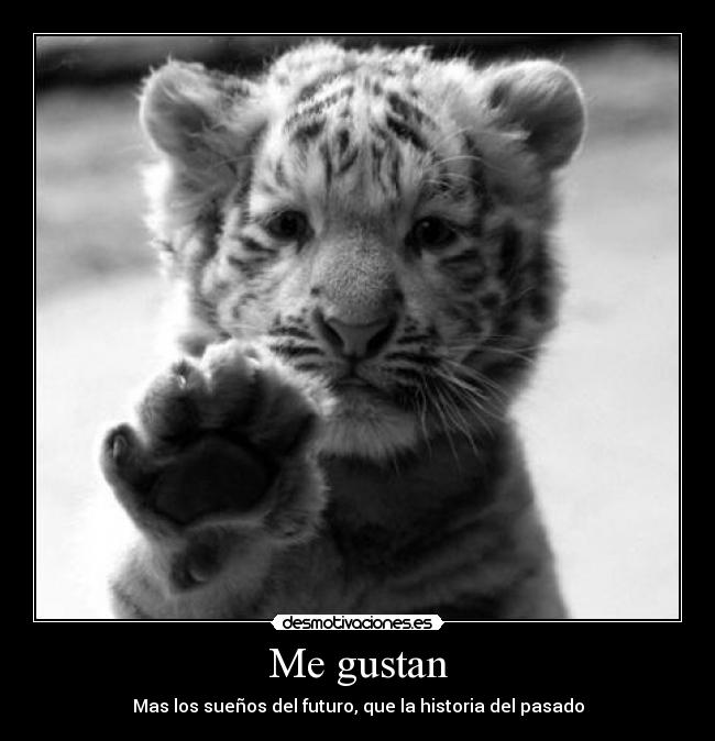 Me gustan - Mas los sueños del futuro, que la historia del pasado