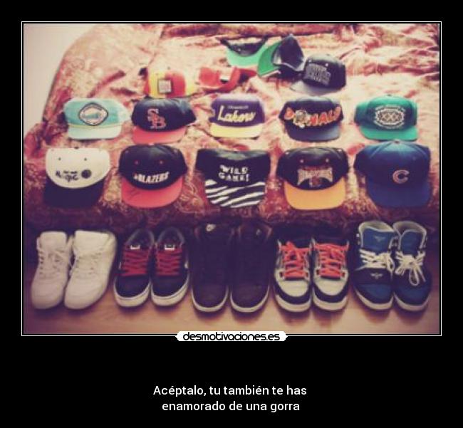 carteles pony desmotivaciones