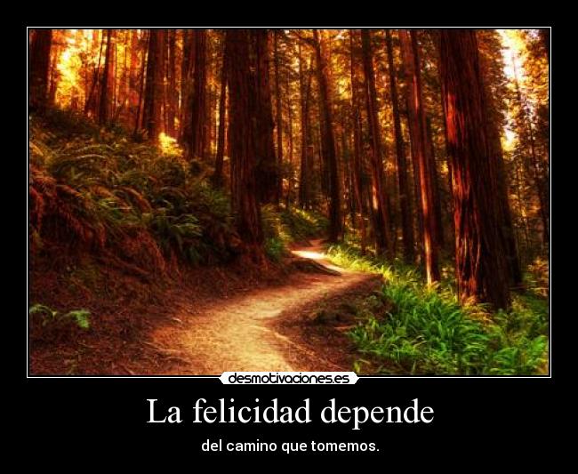 La felicidad depende - del camino que tomemos.