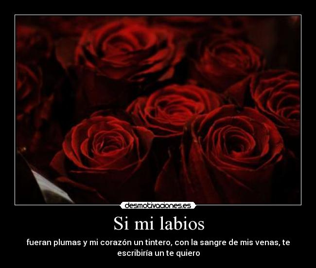 carteles eliyj7 desmotivaciones