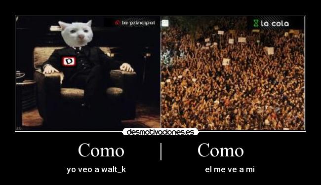 carteles intruders 1kd walt gualt desmotivaciones