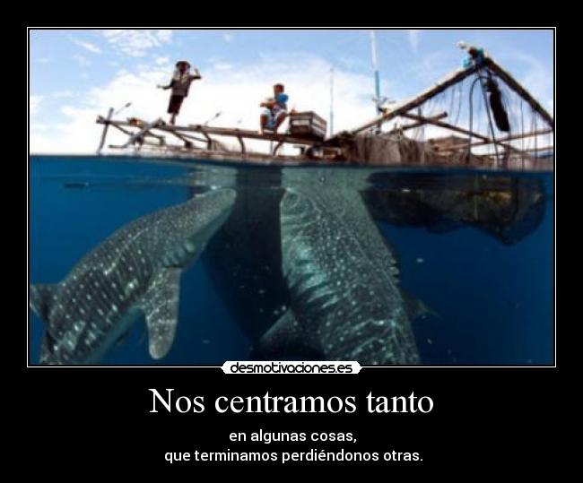 carteles hay que estar atento todo desmotivaciones