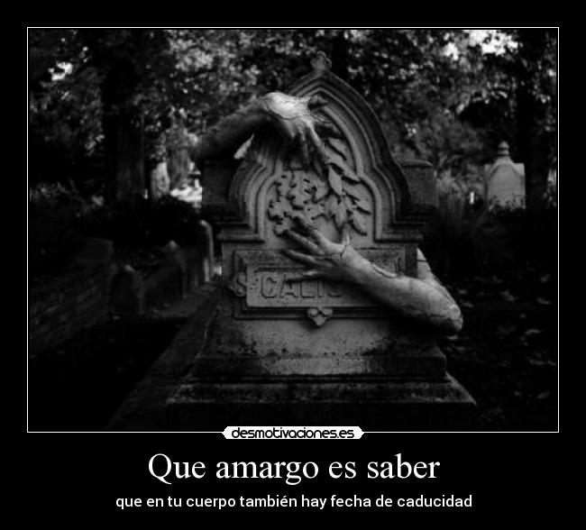 carteles mago desmotivaciones