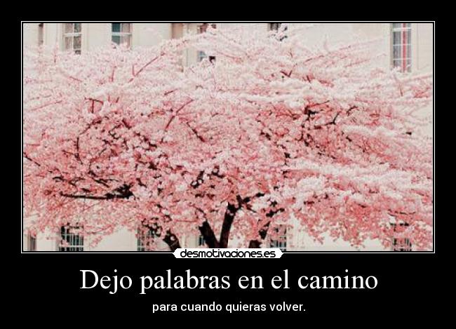 Dejo palabras en el camino - para cuando quieras volver.