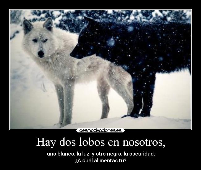 carteles fuerza valor hakunamatata feed feed necesito comer desmotivaciones