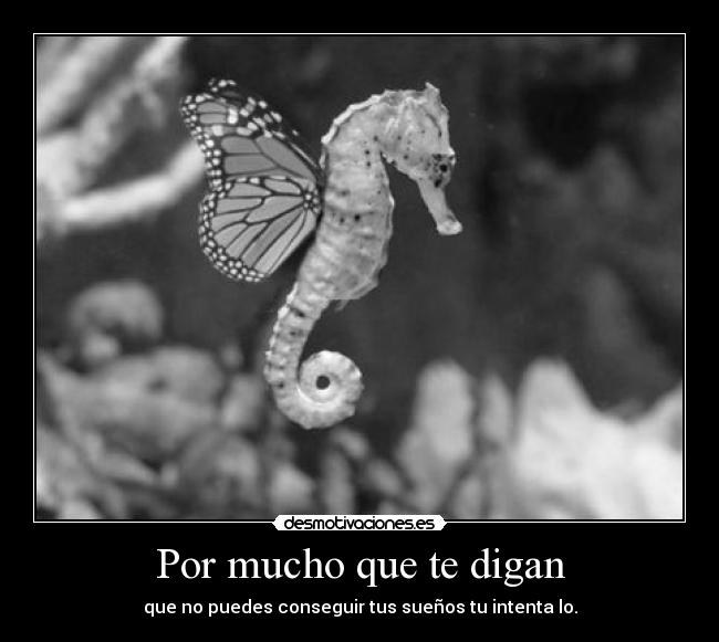 Por mucho que te digan -