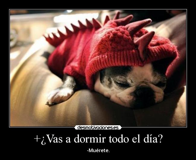 +¿Vas a dormir todo el día? - -Muérete.