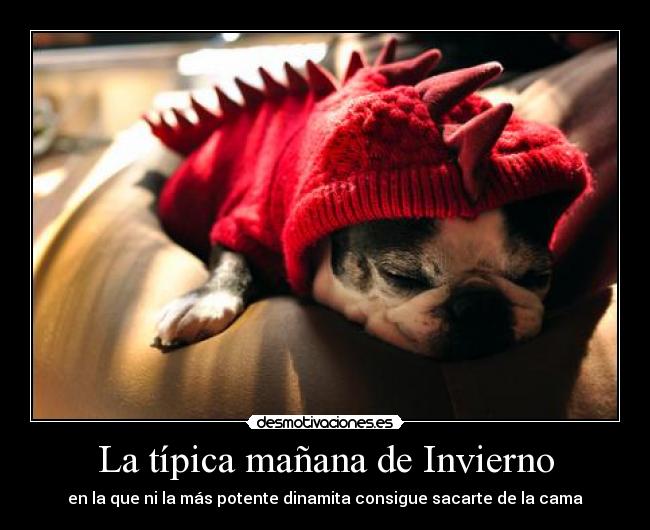 carteles abaijvbojasdv desmotivaciones