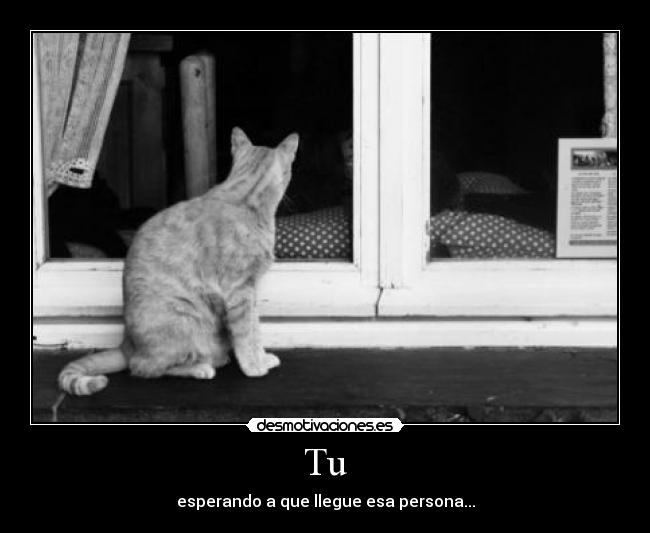 Tu - esperando a que llegue esa persona...