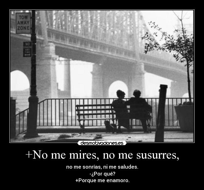 +No me mires, no me susurres, - no me sonrías, ni me saludes.
-¿Por qué?
+Porque me enamoro.