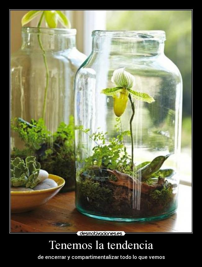 Tenemos la tendencia - 