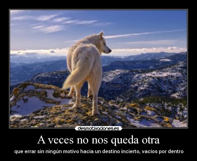 A veces no nos queda otra - que errar sin ningún motivo hacia un destino incierto, vacíos por dentro