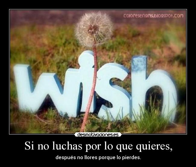 Si no luchas por lo que quieres, -