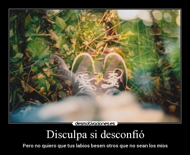 Disculpa si desconfió -