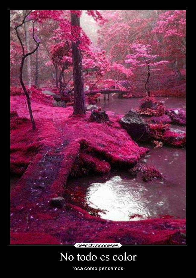 No todo es color - 