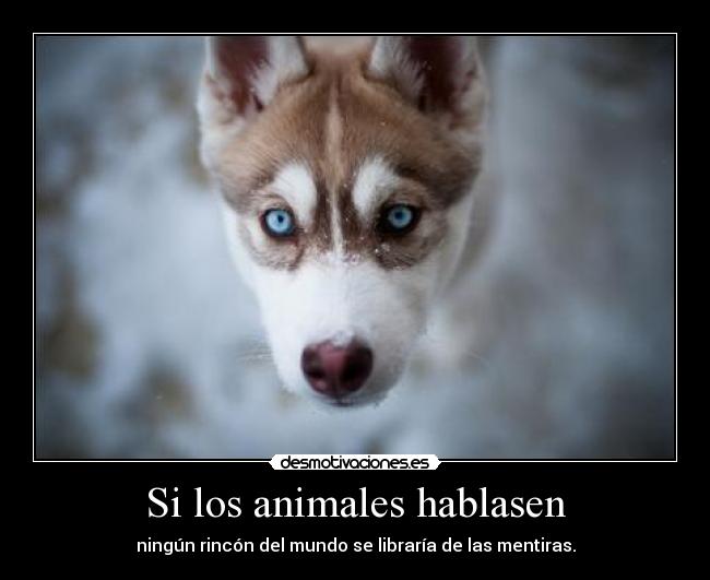 Si los animales hablasen - 