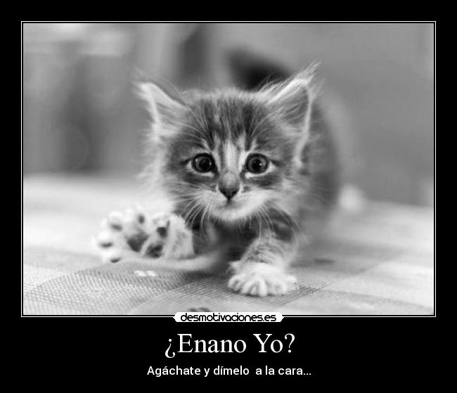 ¿Enano Yo? - Agáchate y dímelo  a la cara...