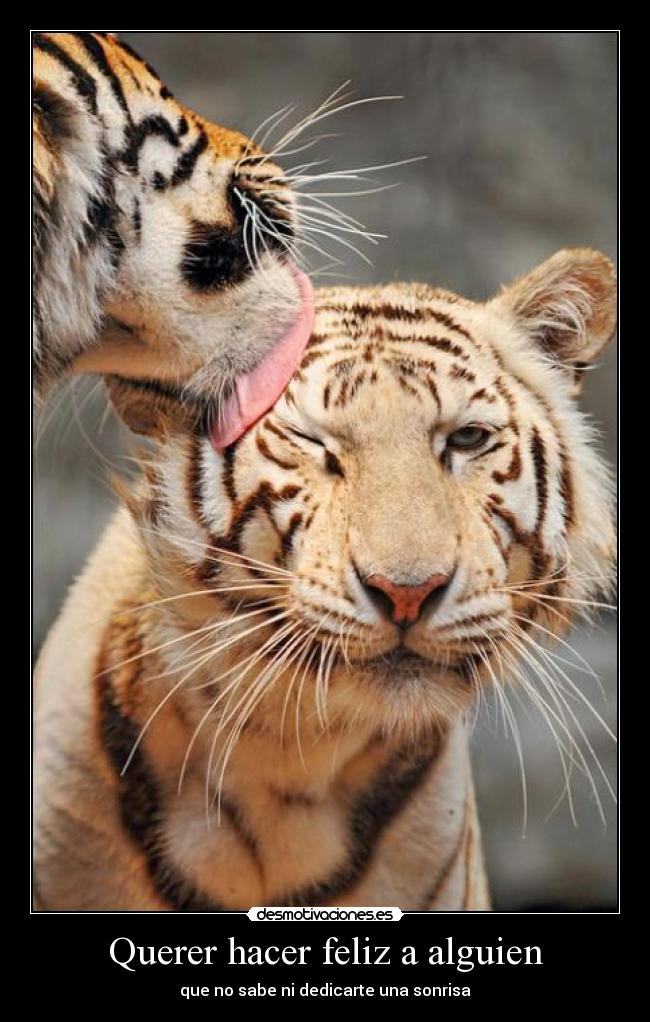 Querer hacer feliz a alguien -