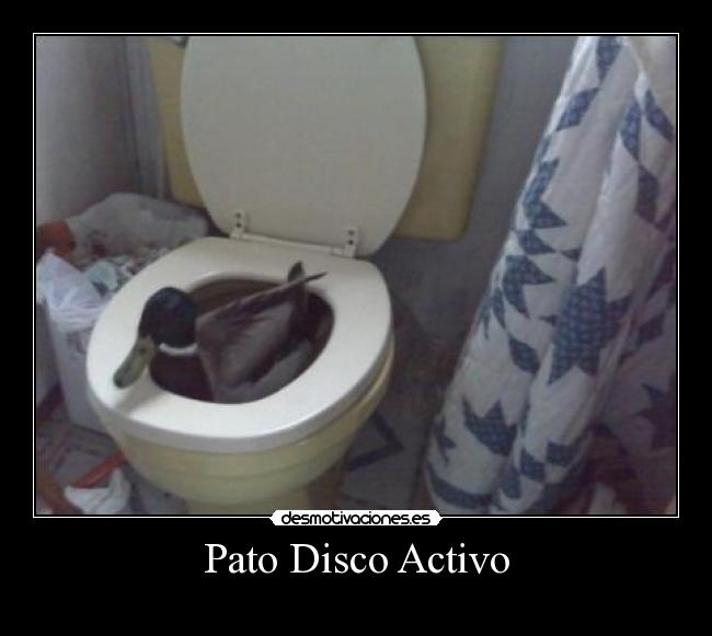 Pato Disco Activo -